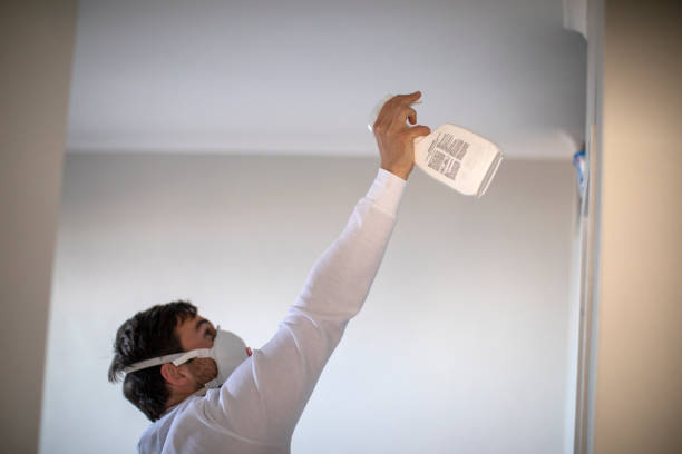 Best Mold Damage Repair  in Mccall, ID