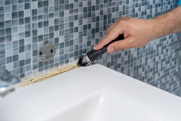 Best Fast Mold Removal  in Mccall, ID