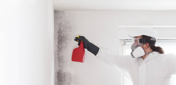 Best Crawl Space Mold Removal  in Mccall, ID