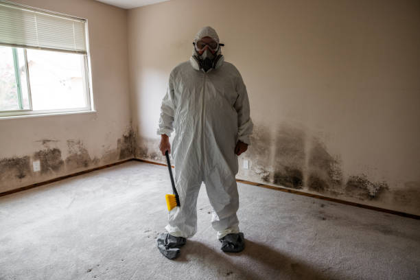 Best Mold Testing  in Mccall, ID